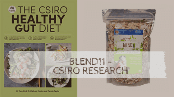 csiro gut health booklet and blend11