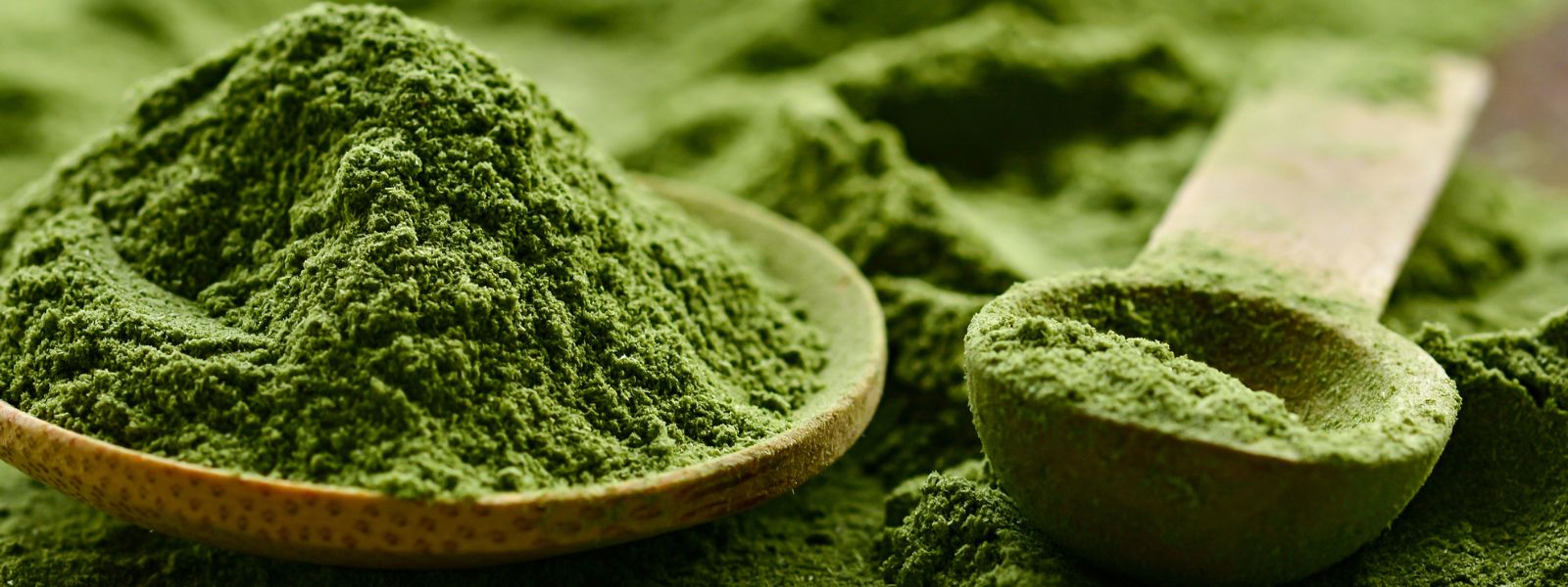 quality greens powder