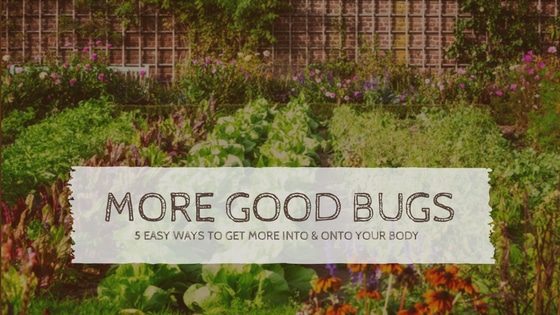 5 Easy Ways To Get More Good Bugs Into & Onto Your Body!