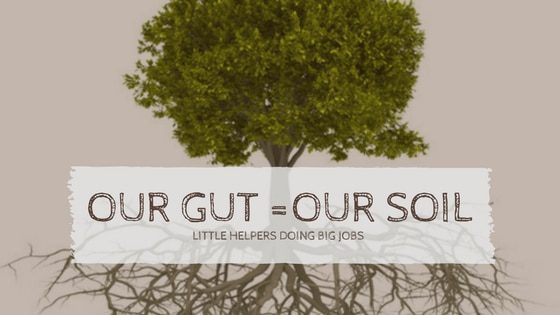 Our Gut = Our Soil