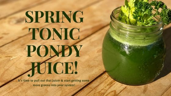 SPRING TONIC GREENS JUICE!